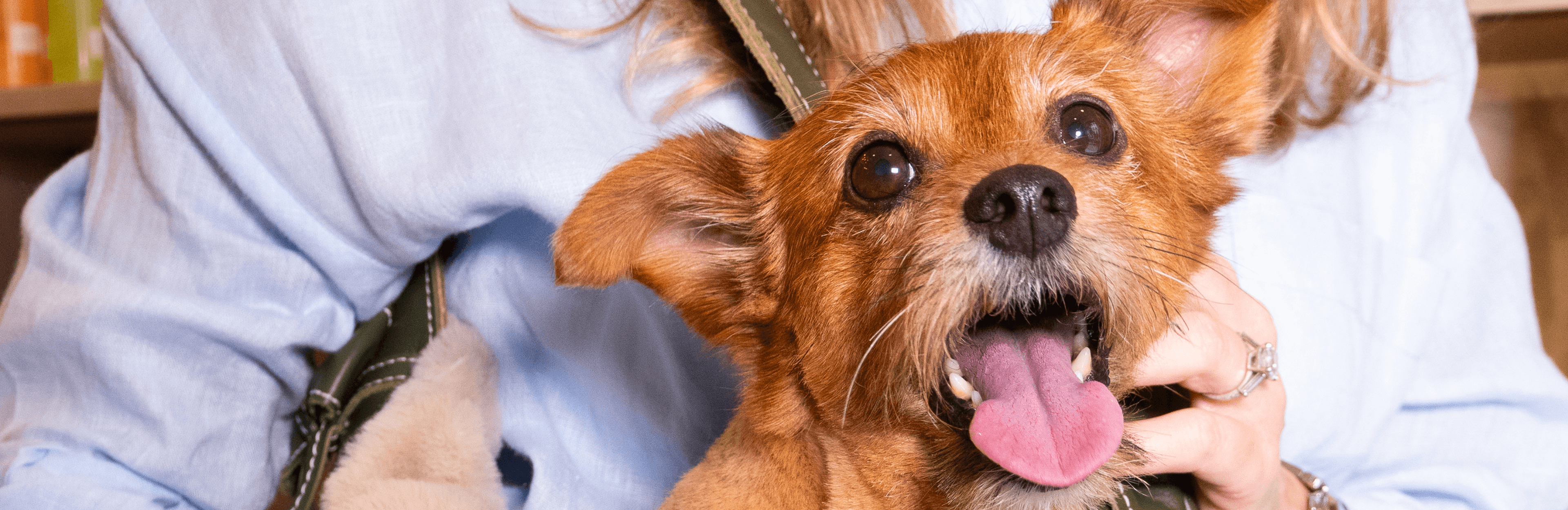 Fondo de vista previa