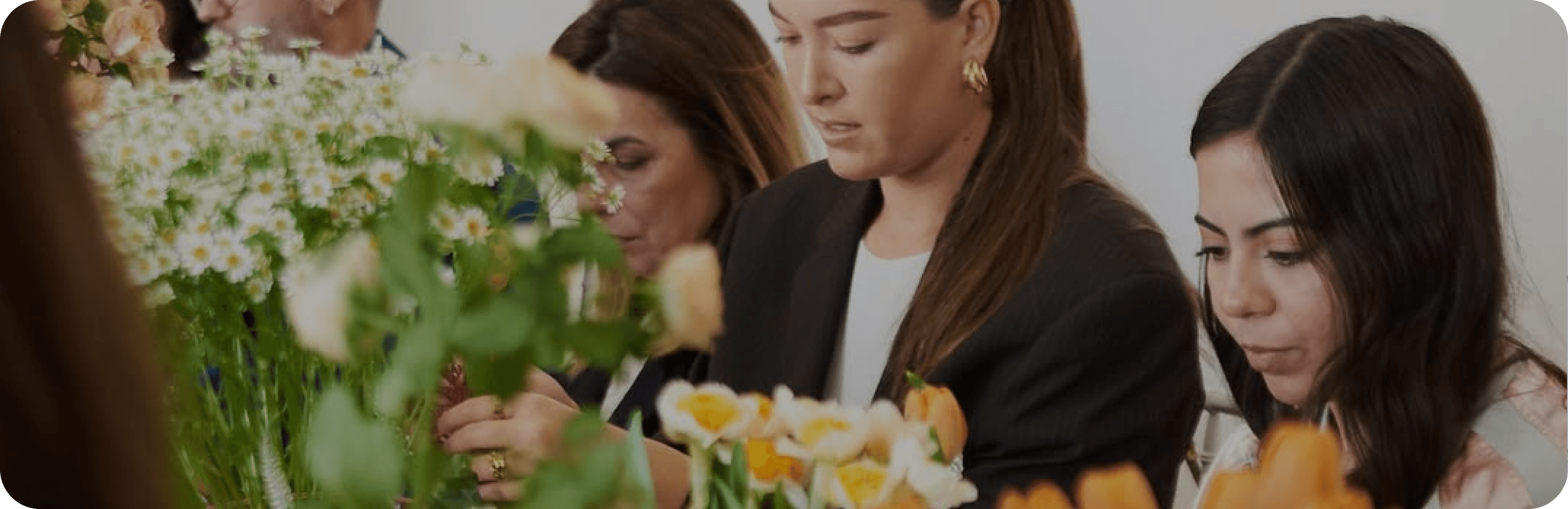 Fondo de vista previa